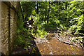 The brook at Standen Bridge in BB7 1GT