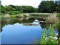 Penllergaer Pond in SA4 9AT