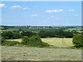 View from Bushy Hill towards Bradwell in CM3 5TX