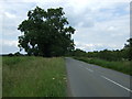 Hose Lane in Clawson, Hose and Harby