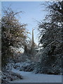 The spire of St George's Church through the trees of Norton Common in SG6 1BU