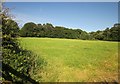 Field near Devon Great Consols Mine in PL19 8PB