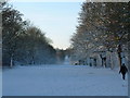 Norton Common  in the snow. in SG6 4SF