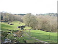 Old quarrymen's path from Rhiwddolion to Hafod-las Quarry in LL24 0BT