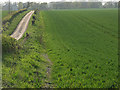 Farmland and lane, Hatherden in SP11 0SN