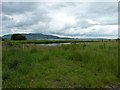 Wetlands alongside Loch Leven in KY13 9JU
