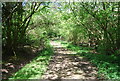 Track passing Pear Tree Farm in RH12 3SH