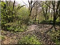 Stile below Buckham Down in DT8 3ER