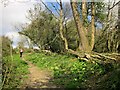 Path up Buckham Down in DT8 3ER