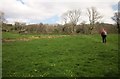 Path up Buckham Down in DT8 3ER