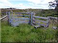 Gate and stile on Glyndŵr's Way in SY20 8TZ