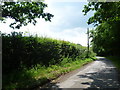 Country lane seen from Cot Lane in TN27 8JJ