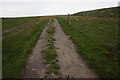 Track crossing Headon Down in PL21 9SS