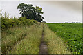 Wet footpath near Harmston in LN5 9GH