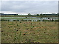 Grazing, Idle Washlands in DN10 6DJ