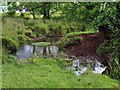 River Dulais at Glanyrynys  Farm in SA32 8PX