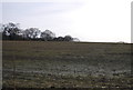 Muddy field opposite Smeeds Farm in TN25 6EA