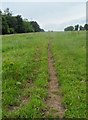 Track across the field near Thorsgill Wood in Egglestone Abbey