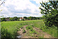 Meadow south of Blyford Lane in Blyford