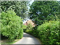 Driveway to Huggin's Hall in TN17 2QJ