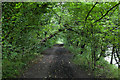 Path through the woodland on the riverbank in FK10 2NU