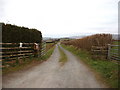 The lane to Cefnwilgy Fach in SY18 6JZ