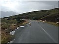 Sheep on the road near Drumbuie in IV40 8BD