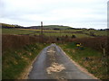Lane to Llwydiarth in SY18 6JS