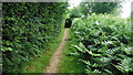 Footpath near Grange Farm in HP15 7PZ