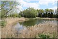 Glebe Farm pond in Benington