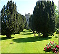 Yew-lined view of the church tower in Saul in GL2 7LW