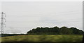 Powerlines and an unnamed wood on the road into Shutlanger in NN12 7RU