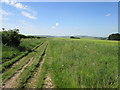Looking  south  along  The  Ridgeway in SN8 1QE