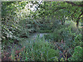 Smaller Pond at Onslow Green Nature Reserve in CM6 3PB