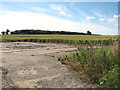 Crop fields east of The Street in IP22 2FB
