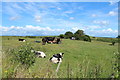 Farmland at Whithorn in DG8 8AT
