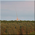 Wind turbine behind Cut's Wood in Rainworth North & Rufford Ward