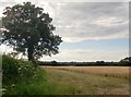 Farmland by Mangrove Lane in Hertford Heath & Brickendon Ward
