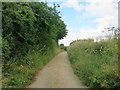 Footpath from Claypits to Herberts in CB11 3JS