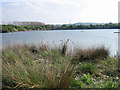 Lake at Marston Millennium Park in MK43 0WY