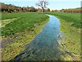 Watercourse between Preston and Whittonditch, Wiltshire (1) in SN8 2FU