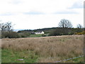 View across farmland to Fron-olau Cottage in Llanddeiniolen Community