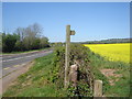 Footpath, oilseed rape field and the B4245 in NP18 2EB