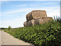 Straw bales in field beside Long Lane in NR29 5AN