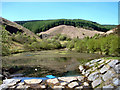 Clydach Vale Country Park in Cwm Clydach Community