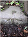 Ordnance Survey Rivet in Dyffryn Clydach Community