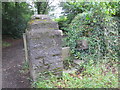 Roadside Stile in Dyffryn Clydach Community
