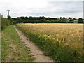 Field of barley and footpath to Waddicar in L31 1LD