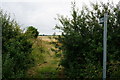 Bridleway off Willingham Road in Fillingham