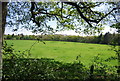 Pasture by Stane Street in RH12 3ZG